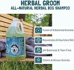 Bio-Groom Herbal Groom Conditioning Dog Shampoo, 1-gal bottle slide 2 of 5