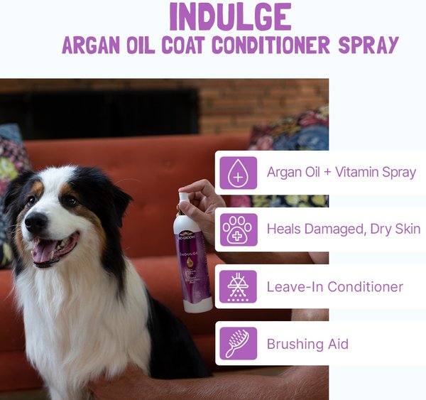 Show full view: Bio-Groom Indulge with Argan Oil Daily Brushing Aid Dog Spray, 8-fl oz bottle slide 4 of 8