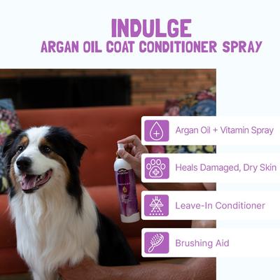 Show full view: Bio-Groom Indulge with Argan Oil Daily Brushing Aid Dog Spray, 8-fl oz bottle slide 4 of 8