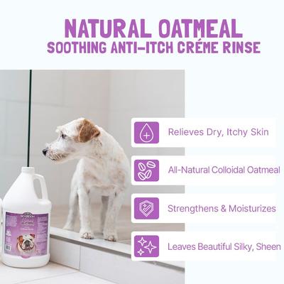 Show full view: Bio-Groom Natural Oatmeal Soothing Anti-Itch Dog Cream Rinse, 12-fl oz bottle slide 3 of 4
