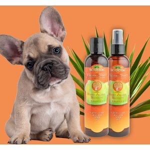 Bio-Groom Natural Scents Desert Agave Blossom Cologne Dog Spray, 8-fl oz bottle
