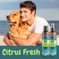 Bio-Groom Natural Scents Lemongrass & Verbena Cologne Dog Spray, 8-fl oz bottle slide 2 of 5