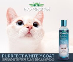 Bio-Groom Purrfect White Coat Brightener Cat Shampoo, 8-fl oz bottle slide 2 of 6