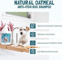 Bio-Groom Soothing Anti-Itch Oatmeal Dog Shampoo, 2.5-gallon jug slide 2 of 4