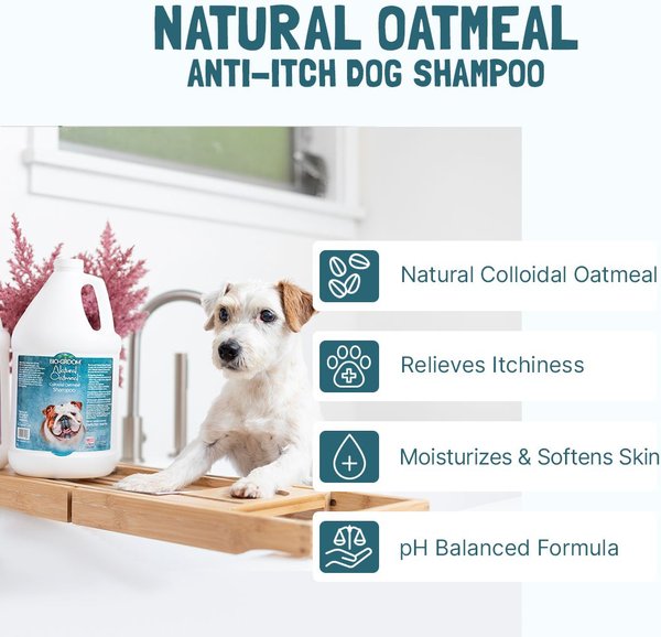 Bio-Groom Soothing Anti-Itch Oatmeal Dog Shampoo