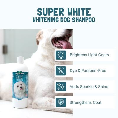 Show full view: Bio-Groom Super White Dog Shampoo, 2.5-gallon jug slide 2 of 7