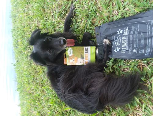 Show full view: BioBag Standard Pet Waste Bags, 50 count slide 3 of 6