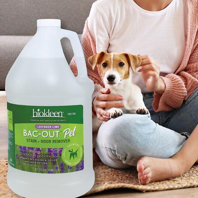 Show full view: Biokleen Bac-Out Pet Stain & Odor Remover, 1-gal slide 3 of 9