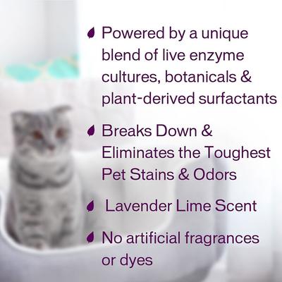 Show full view: Biokleen Bac-Out Pet Stain & Odor Remover, 1-gal slide 4 of 9