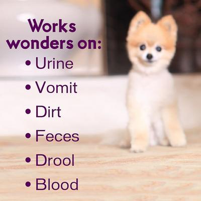 Show full view: Biokleen Bac-Out Pet Stain & Odor Remover, 1-gal slide 5 of 9