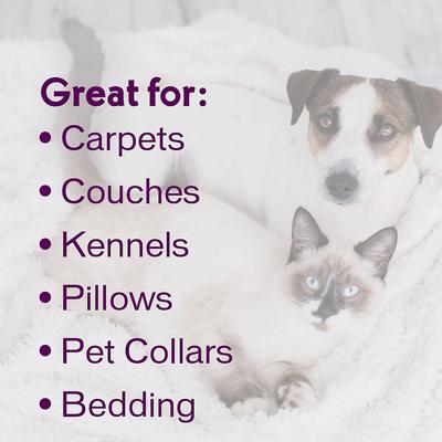 Show full view: Biokleen Bac-Out Pet Stain & Odor Remover, 1-gal slide 6 of 9