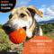 Show in main carousel: Bionic Ball Tough Fetch Dog Chew Toy, Orange, Large: 3.5-in slide 8 of 10