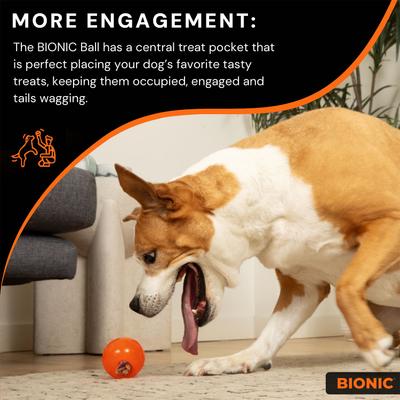 Show full view: Bionic Ball Tough Fetch Dog Chew Toy, Orange, Large: 3.5-in slide 9 of 10