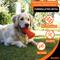 Show in main carousel: Bionic Bone Tough Treating Dog Chew Toy, Orange, Large: 6-in slide 6 of 9
