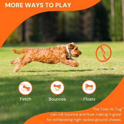 Show full view: Bionic Toss-N-Tug Tough Dog Fetch Toy, Orange, Large: 9-in slide 3 of 9