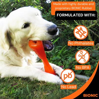 Bionic Urban Stick Tough Treating Dog Chew Toy, Orange