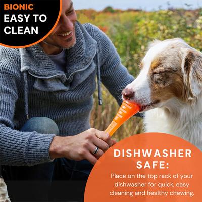 Bionic Urban Stick Tough Treating Dog Chew Toy, Orange