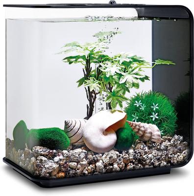 Show full view: biOrb Aquarium Decor Set, 4-gal, Summer slide 2 of 2