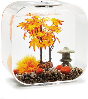 Show full view: biOrb Aquarium Decor Set, 8-gal Autumn slide 2 of 3