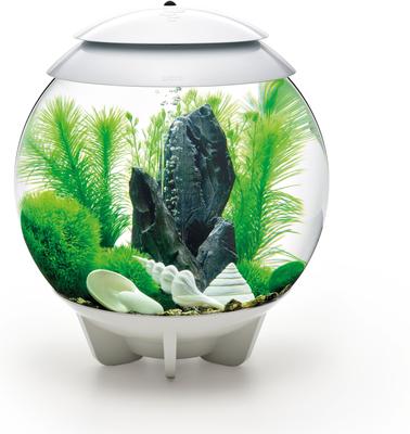 Show full view: biOrb Aquarium Decor Set, 8-gal, Stone Garden slide 2 of 5
