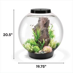 biOrb CLASSIC LED Aquarium, Black, 16-gal slide 2 of 4