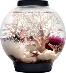 biOrb Classic LED Fish Aquarium, Black, 4-gal slide 2 of 5
