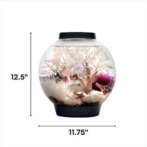biOrb Classic LED Fish Aquarium, Black, 4-gal