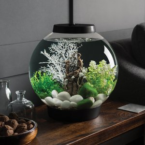 biOrb Classic LED Fish Aquarium, Black, 4-gal