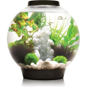 biOrb Classic LED Fish Aquarium, Black, 8-gal