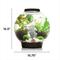 Show in main carousel: biOrb Classic LED Fish Aquarium, Black, 8-gal slide 2 of 6