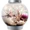 Show in main carousel: biOrb Classic LED Fish Aquarium, Silver, 4-gal slide 1 of 5