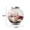 Show in main carousel: biOrb Classic LED Fish Aquarium, Silver, 4-gal slide 2 of 5