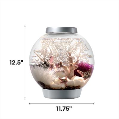 Show full view: biOrb Classic LED Fish Aquarium, Silver, 4-gal slide 2 of 5