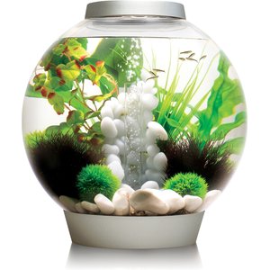 biOrb Classic LED Fish Aquarium, Silver, 8-gal