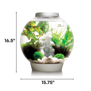 biOrb Classic LED Fish Aquarium, Silver, 8-gal