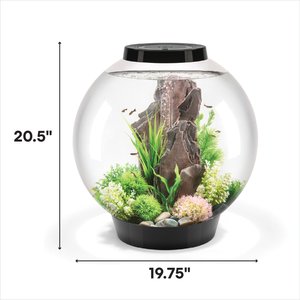 biOrb CLASSIC 60 LED Aquarium, Black, 16-gal