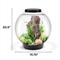 Show in main carousel: biOrb CLASSIC 60 LED Aquarium, Black, 16-gal slide 2 of 5