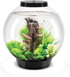 biOrb CLASSIC 60 MCR Aquarium, Black, 8-gal