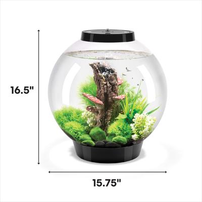 Show full view: biOrb CLASSIC 60 MCR Aquarium, Black, 8-gal slide 2 of 5