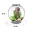 Show in main carousel: biOrb CLASSIC 60 LED Aquarium, Silver, 16-gal slide 2 of 5