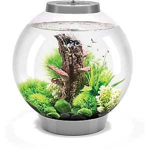 biOrb CLASSIC MCR Aquarium, Silver, 8-gal