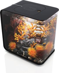biOrb FLOW LED Aquarium, Black, 4-gal