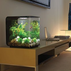 biOrb FLOW LED Aquarium, Black, 8-gal slide 2 of 5