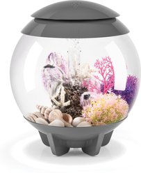 biOrb HALO MCR Aquarium, Gray, 4-gal