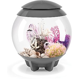 biOrb HALO MCR Aquarium, Gray, 4-gal