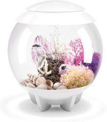 biOrb HALO MCR Aquarium, White, 4-gal