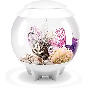 biOrb HALO MCR Aquarium, White, 4-gal