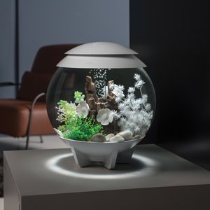 biOrb HALO MCR Aquarium, White, 4-gal