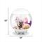 Show in main carousel: biOrb HALO MCR Aquarium, White, 4-gal slide 2 of 9