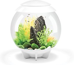 biOrb HALO MCR Aquarium, White, 8-gal
